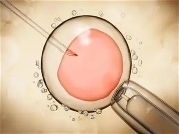 多囊治不好可以做试管婴儿吗